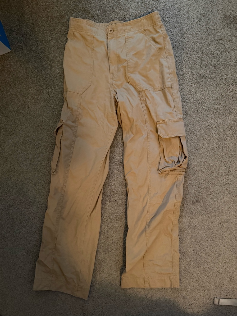 Abercrombie & Fitch Tan Cargo Pants